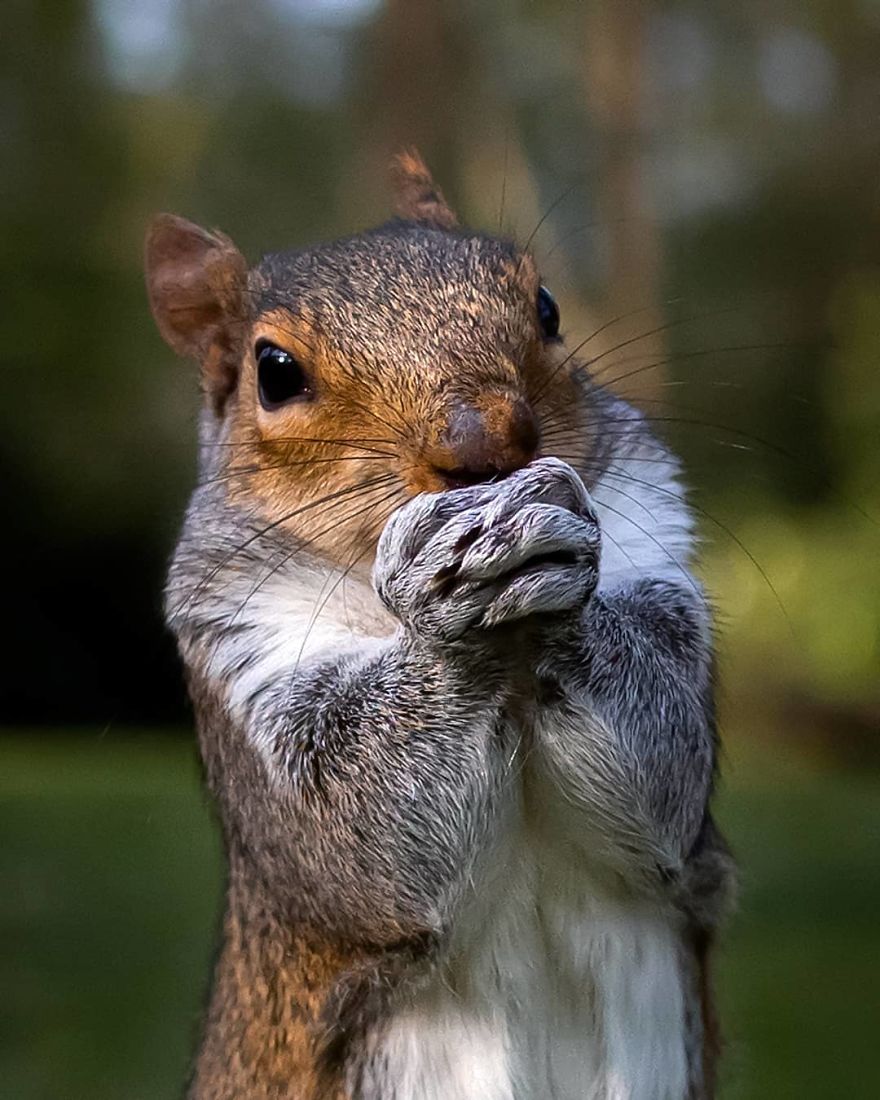 Photographer Shows Finland's Forests That Seem To Have Come Straight Out Of A Fairy Tale (New Pics)