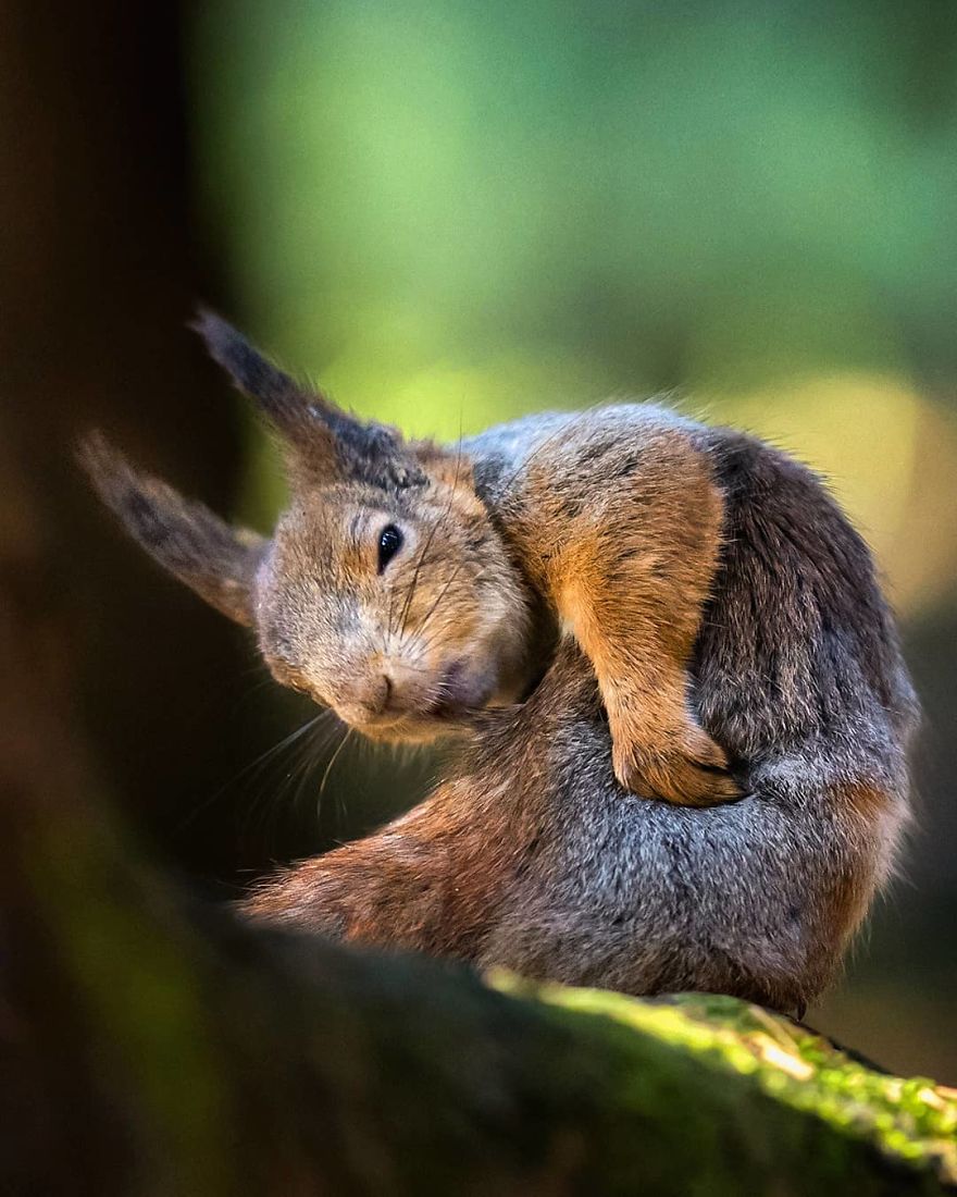 Photographer Shows Finland's Forests That Seem To Have Come Straight Out Of A Fairy Tale (New Pics)