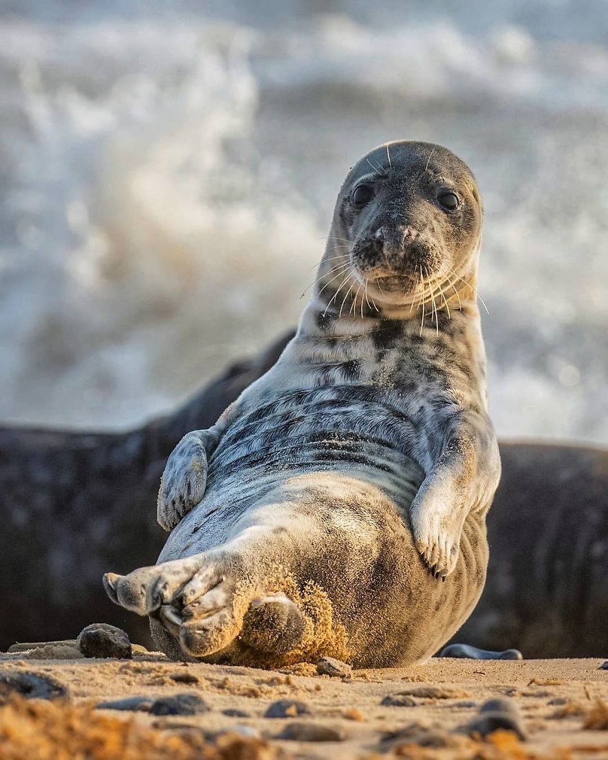 Photographer Shows Finland's Forests That Seem To Have Come Straight Out Of A Fairy Tale (New Pics)
