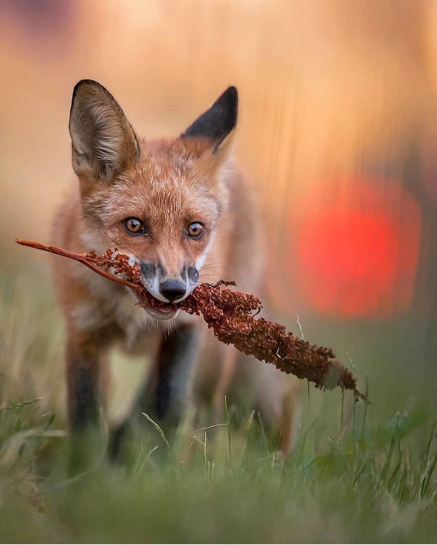 Photographer Shows Finland's Forests That Seem To Have Come Straight Out Of A Fairy Tale (New Pics)