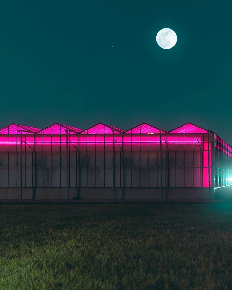 Photographer’s Unhealthy Obsession With Neon Signs Will Transport You Back In Time