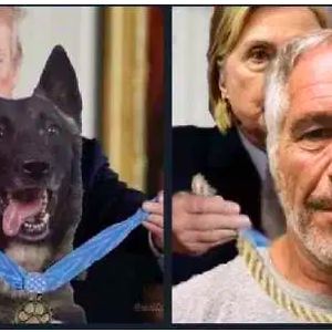 henrickhammons avatar