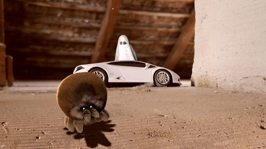 I Tell Spider Loo & Boo Stories From The Children's Eyes