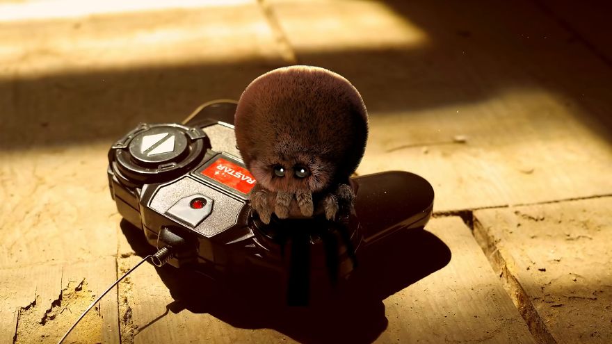 I Tell Spider Loo & Boo Stories From The Children's Eyes