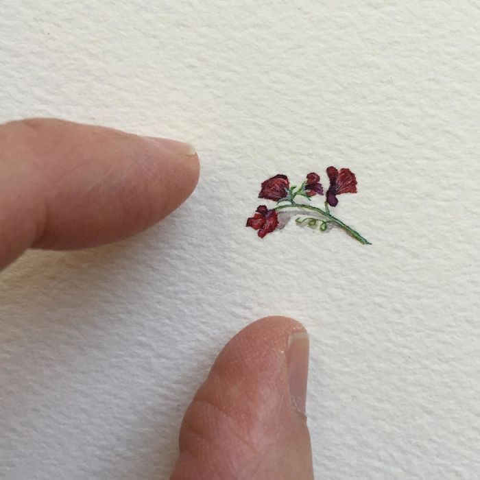 The Stunning Mini Paintings By Brooke Rothshank
