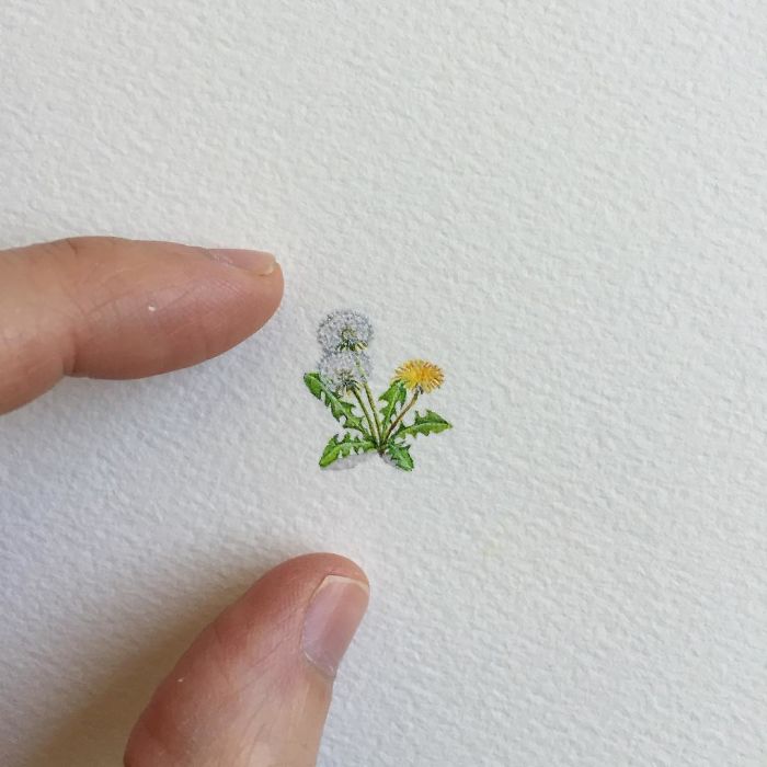 The Stunning Mini Paintings By Brooke Rothshank