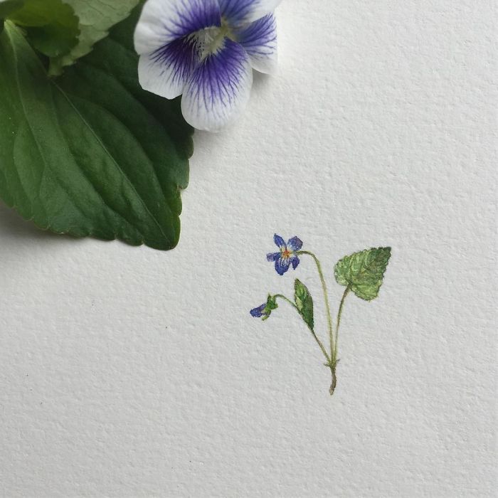 The Stunning Mini Paintings By Brooke Rothshank