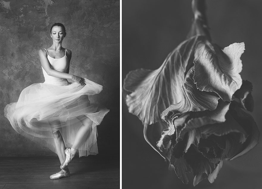 This Photographer Shows Similar Movements Of Ballet With Flowers