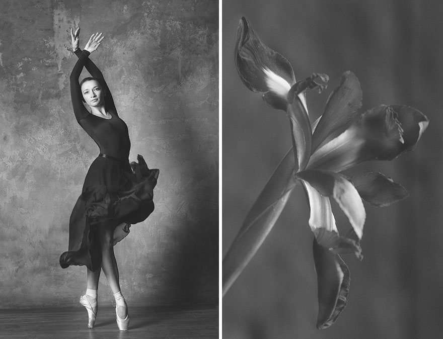 This Photographer Shows Similar Movements Of Ballet With Flowers