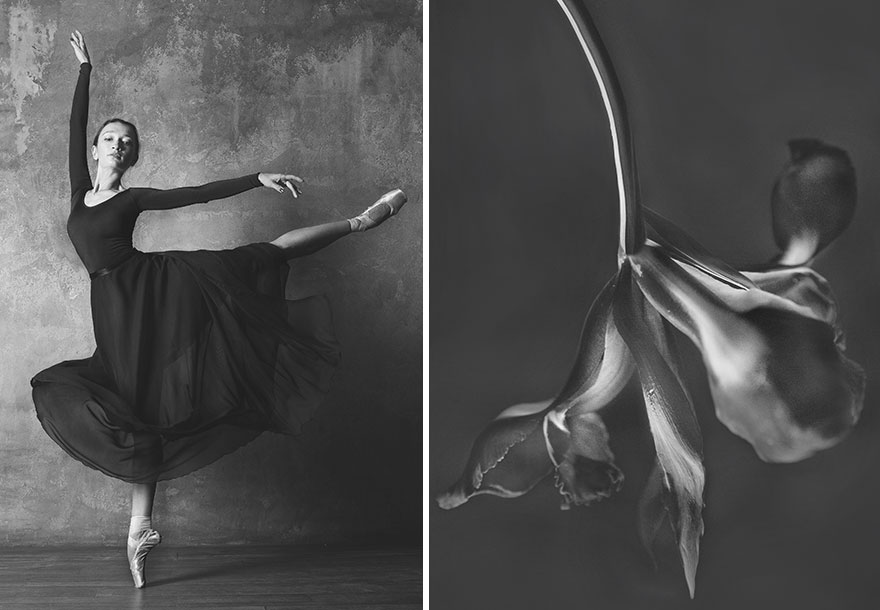 This Photographer Shows Similar Movements Of Ballet With Flowers