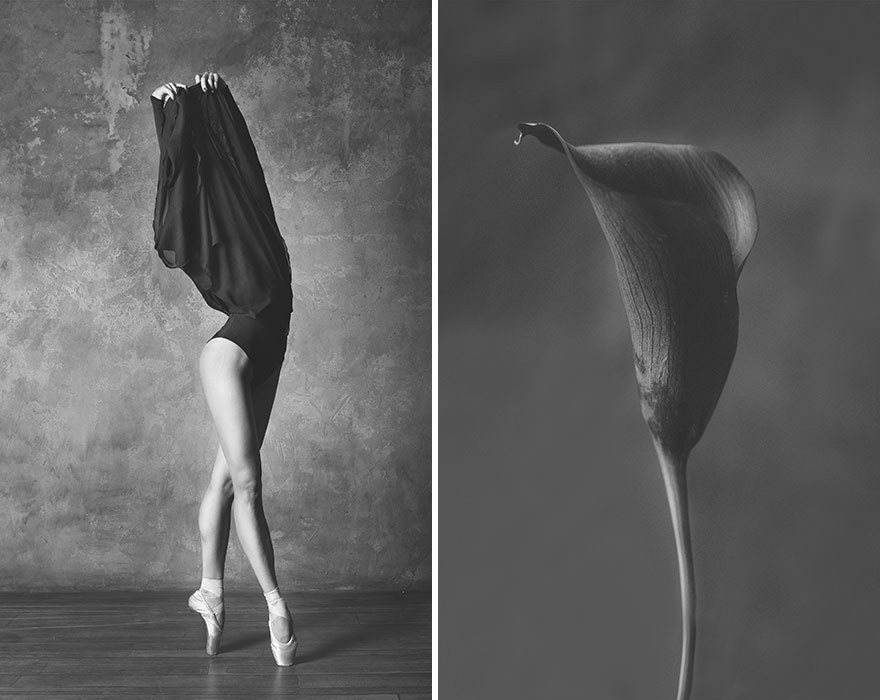 This Photographer Shows Similar Movements Of Ballet With Flowers