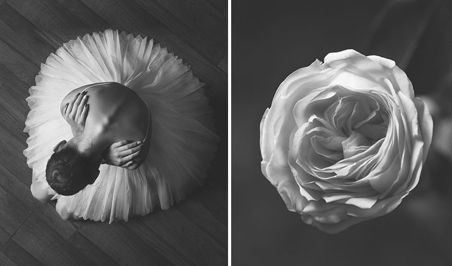 This Photographer Shows Similar Movements Of Ballet With Flowers