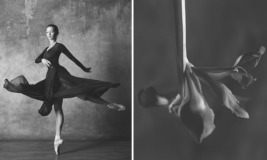 This Photographer Shows Similar Movements Of Ballet With Flowers