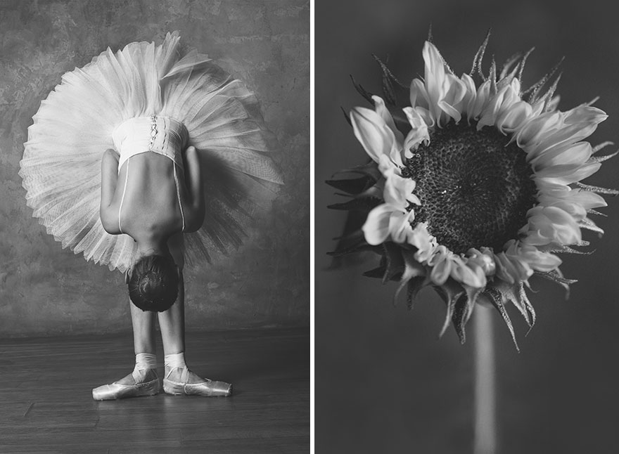 This Photographer Shows Similar Movements Of Ballet With Flowers