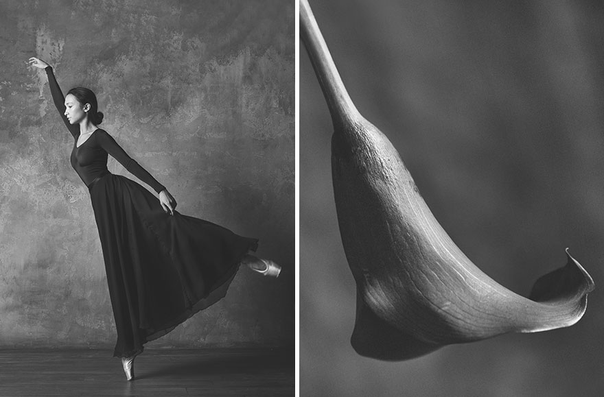 This Photographer Shows Similar Movements Of Ballet With Flowers