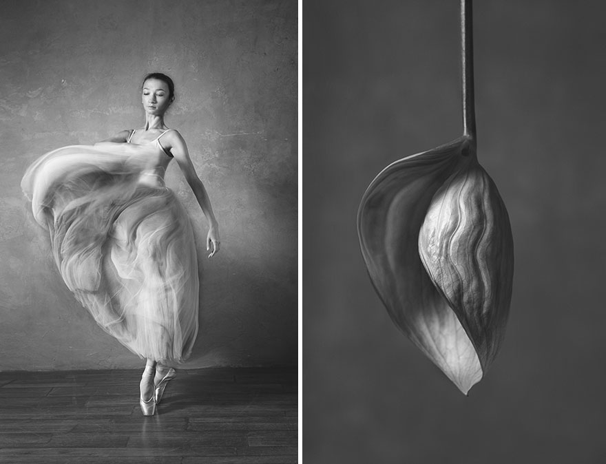 This Photographer Shows Similar Movements Of Ballet With Flowers