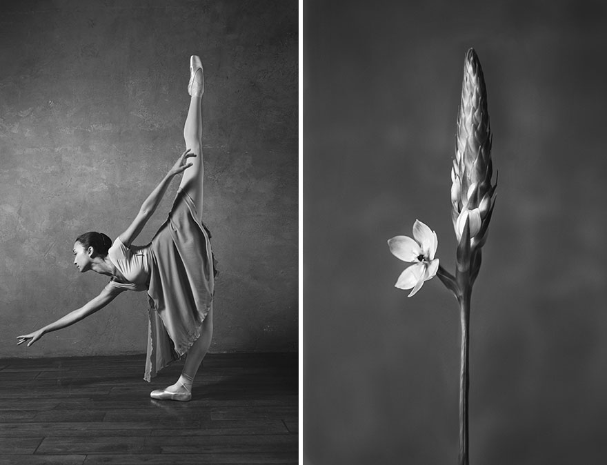 This Photographer Shows Similar Movements Of Ballet With Flowers