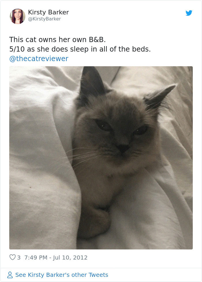 People-Review-Cats-Thecatreviewer