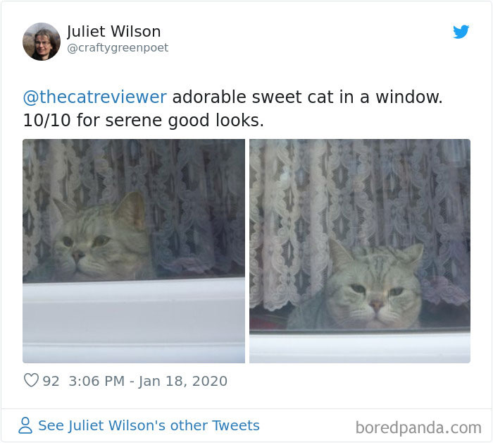 People-Review-Cats-Thecatreviewer