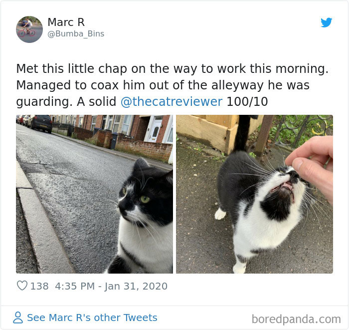 People-Review-Cats-Thecatreviewer