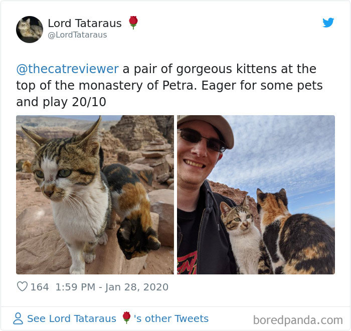 People-Review-Cats-Thecatreviewer