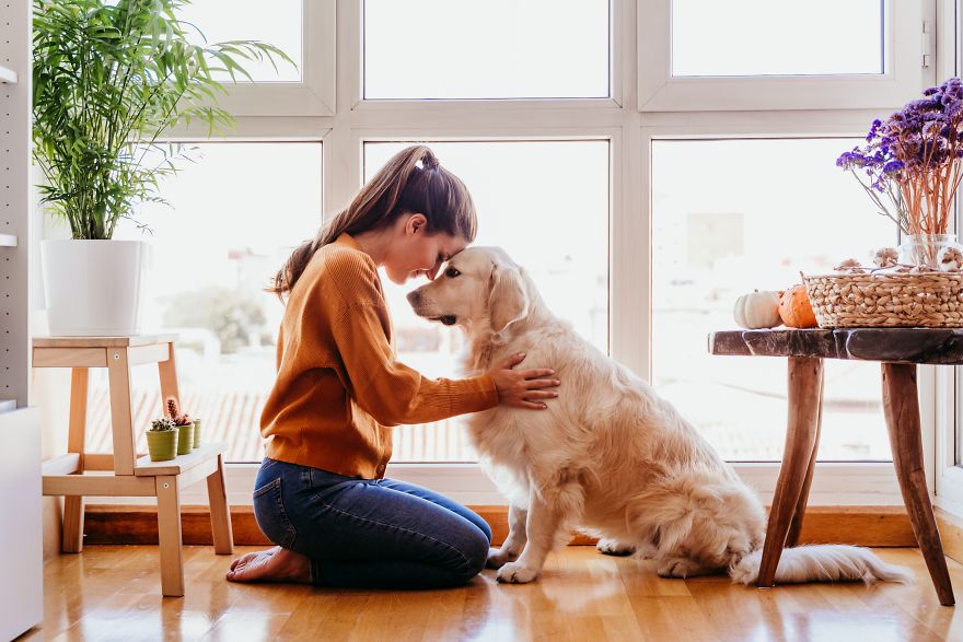 Woman And Dog At Home