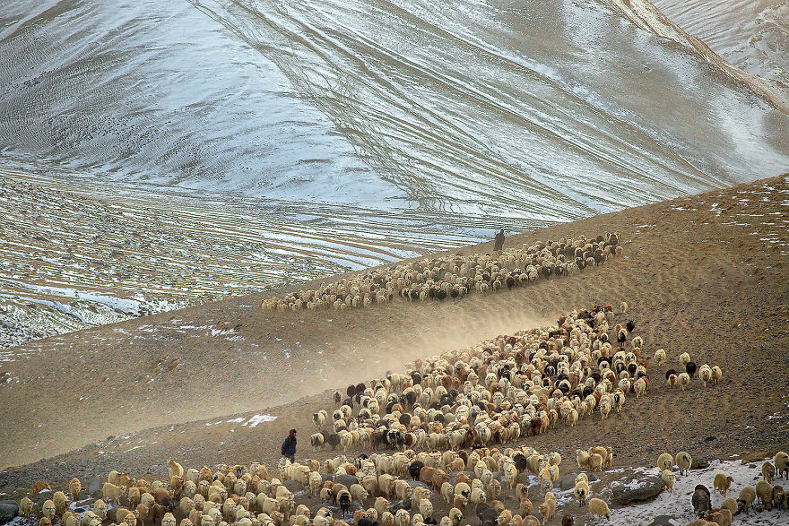 Why Cashmere Is So Expensive Why Cashmere Is So Expensive