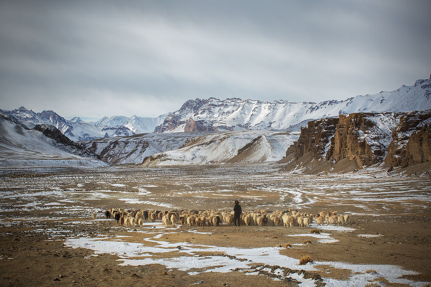 Why Cashmere Is So Expensive Why Cashmere Is So Expensive