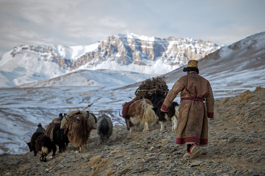 Why Cashmere Is So Expensive Why Cashmere Is So Expensive