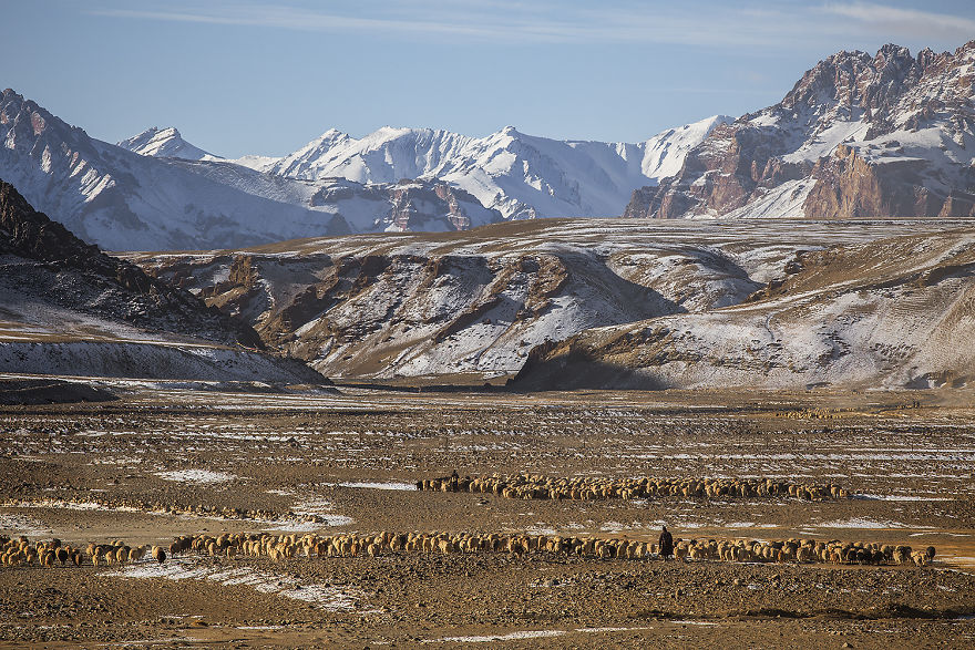 Why Cashmere Is So Expensive Why Cashmere Is So Expensive