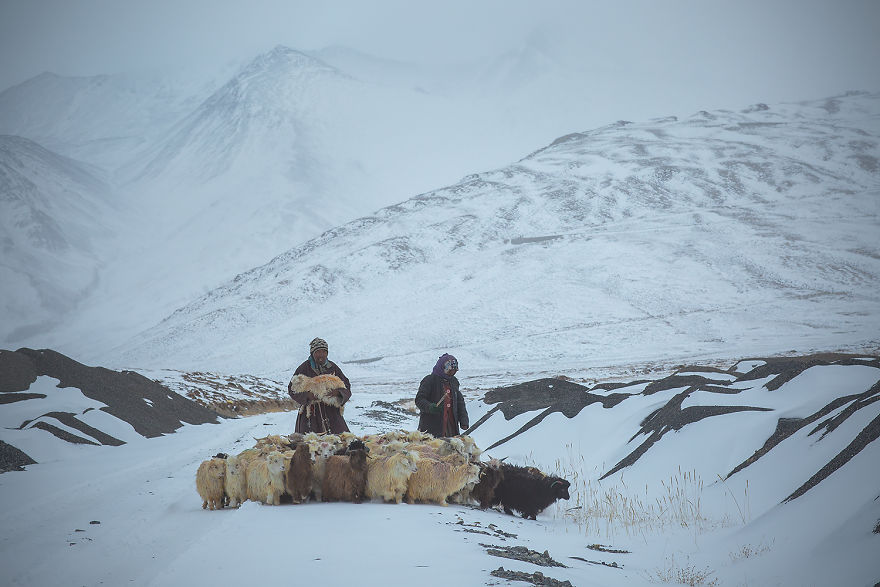 Why Cashmere Is So Expensive