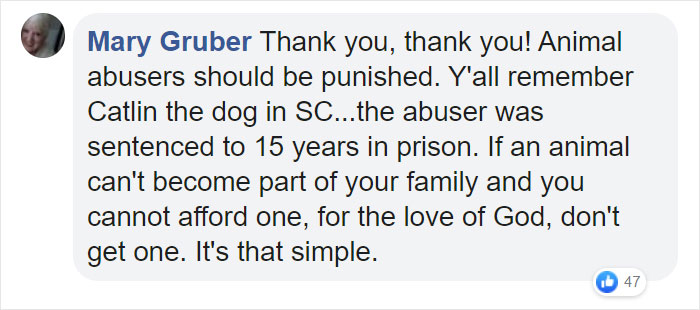 People Are Loving This Ohio Judge Who Gives A Taste Of Their Own Medicine To Animal Abusers People Are Loving This Ohio Judge Who Gives A Taste Of Their Own Medicine To Animal Abusers