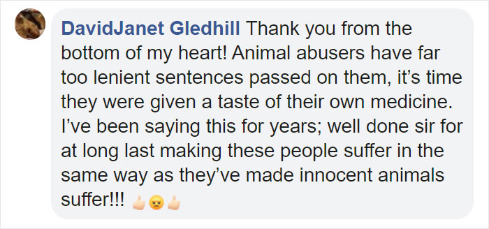 People Are Loving This Ohio Judge Who Gives A Taste Of Their Own Medicine To Animal Abusers