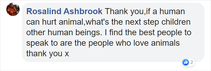 People Are Loving This Ohio Judge Who Gives A Taste Of Their Own Medicine To Animal Abusers