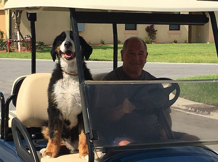 People Are Loving This Ohio Judge Who Gives A Taste Of Their Own Medicine To Animal Abusers People Are Loving This Ohio Judge Who Gives A Taste Of Their Own Medicine To Animal Abusers