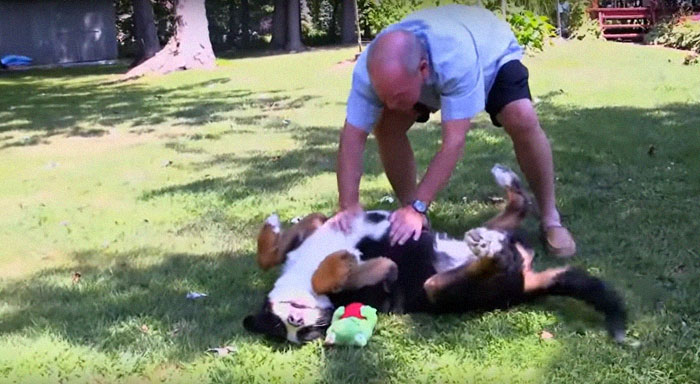 People Are Loving This Ohio Judge Who Gives A Taste Of Their Own Medicine To Animal Abusers People Are Loving This Ohio Judge Who Gives A Taste Of Their Own Medicine To Animal Abusers