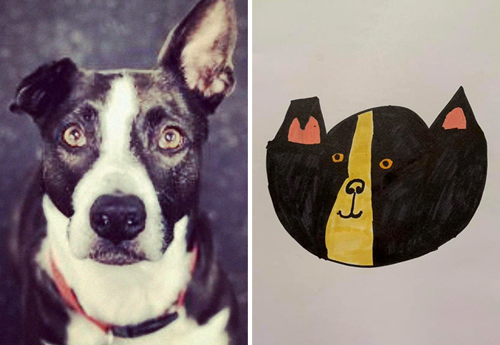 Bad-Pet-Drawings-Wisconsin-Humane-Society-Donation