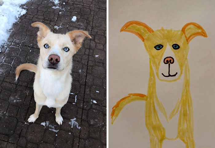 Bad-Pet-Drawings-Wisconsin-Humane-Society-Donation