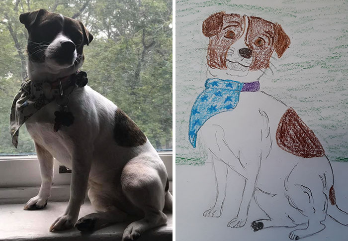 Bad-Pet-Drawings-Wisconsin-Humane-Society-Donation
