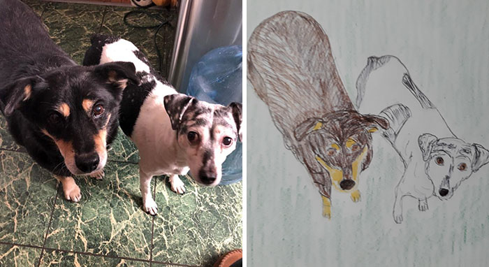 Bad-Pet-Drawings-Wisconsin-Humane-Society-Donation