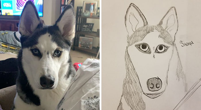Bad-Pet-Drawings-Wisconsin-Humane-Society-Donation