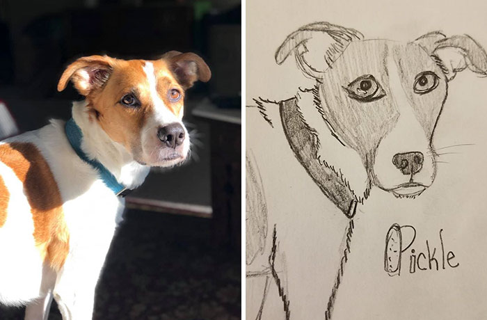 Bad-Pet-Drawings-Wisconsin-Humane-Society-Donation