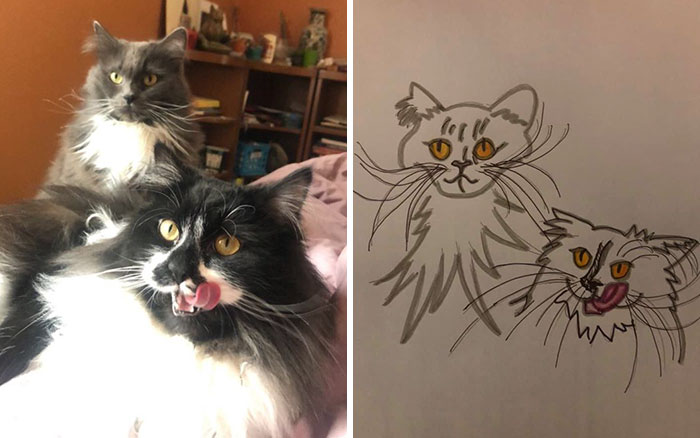 Bad-Pet-Drawings-Wisconsin-Humane-Society-Donation