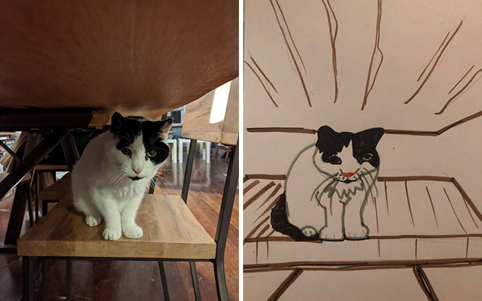 Bad-Pet-Drawings-Wisconsin-Humane-Society-Donation