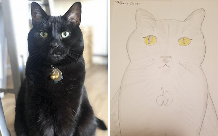Bad-Pet-Drawings-Wisconsin-Humane-Society-Donation