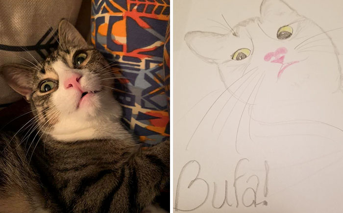 Bad-Pet-Drawings-Wisconsin-Humane-Society-Donation
