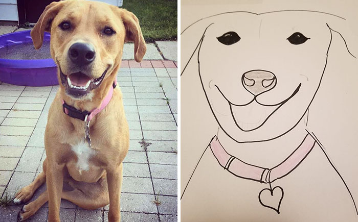 Bad-Pet-Drawings-Wisconsin-Humane-Society-Donation
