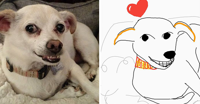 Bad-Pet-Drawings-Wisconsin-Humane-Society-Donation