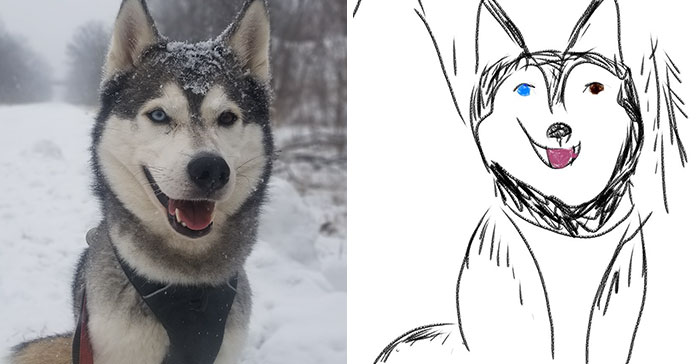 Bad-Pet-Drawings-Wisconsin-Humane-Society-Donation