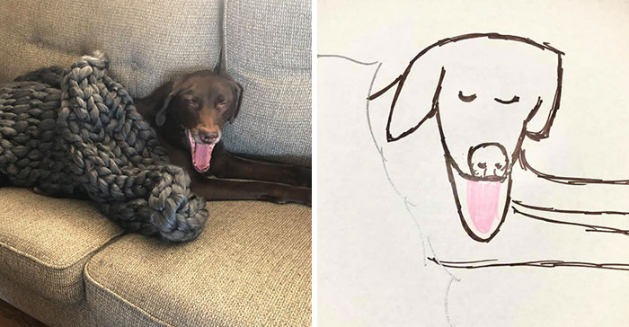 Bad-Pet-Drawings-Wisconsin-Humane-Society-Donation